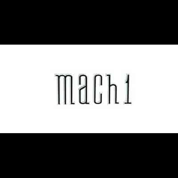 Mach-1 Deck Lid Emblem O.E. on 2003 Mustang Mach-1