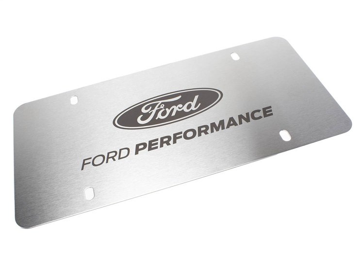 BRUSHED SS LICENSE PLATE