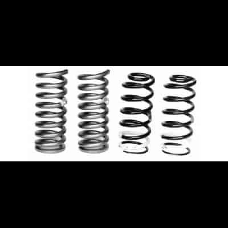 1999-03 Cobra Lowering Springs