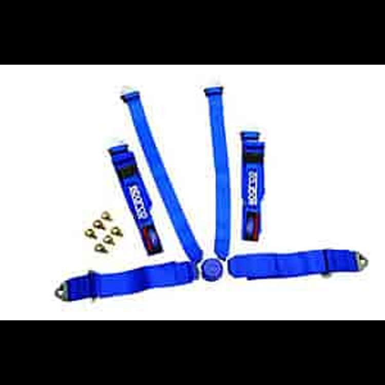 6-Point Safety Harness