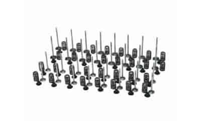 4.6L PRODUCTION VALVE KIT