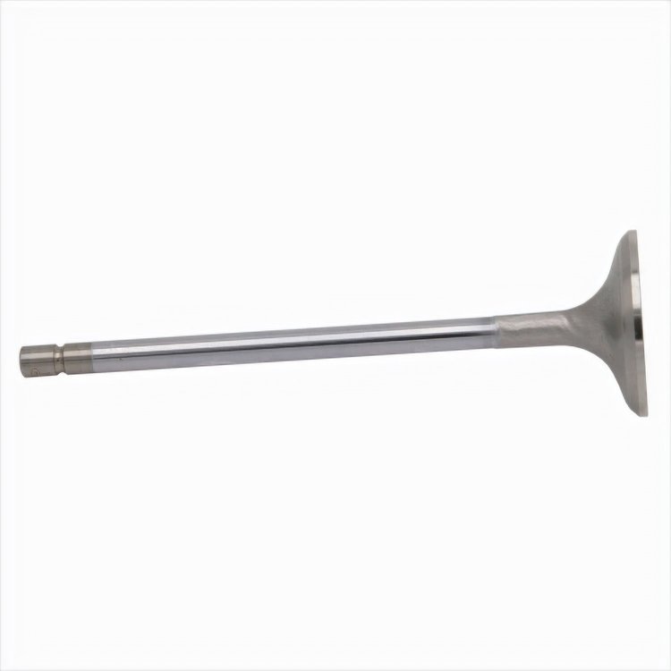 Exhaust Valve