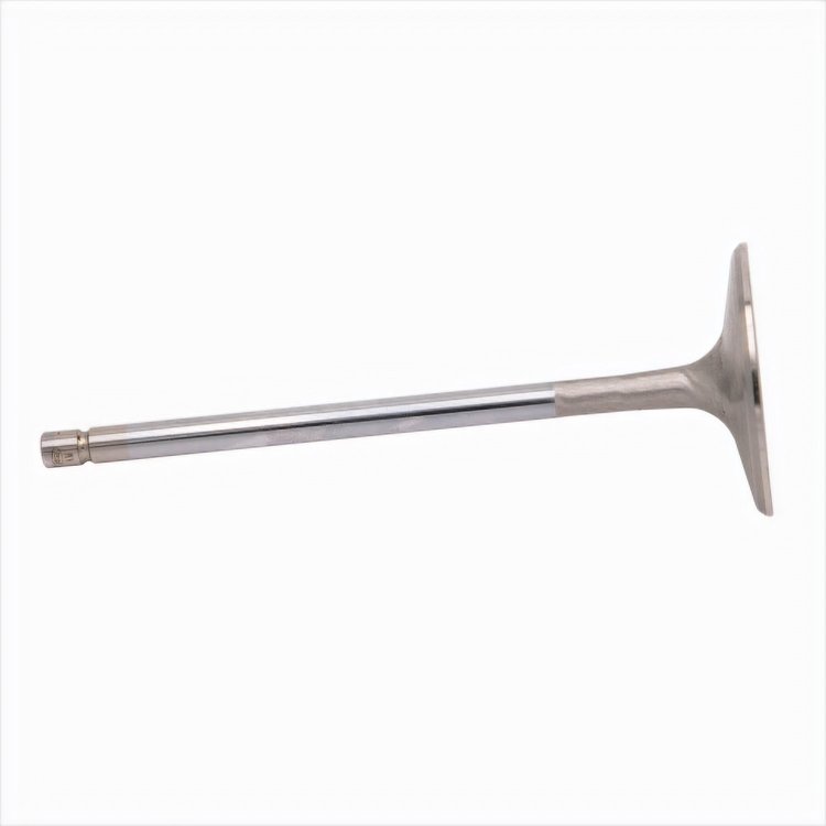 Intake Valve