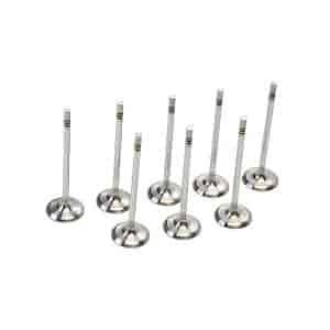 Intake Valve Set Lightweight