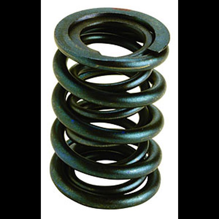 Valve Springs 289/302/351W/460