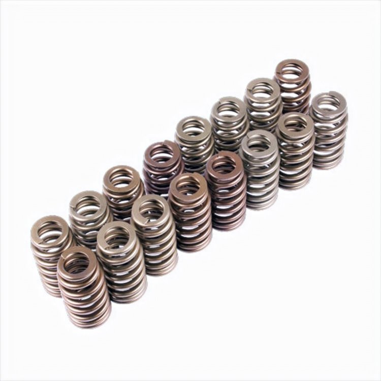 Valve Springs 2011-13 Mustang 5.0L 4V "Ti-VCT"