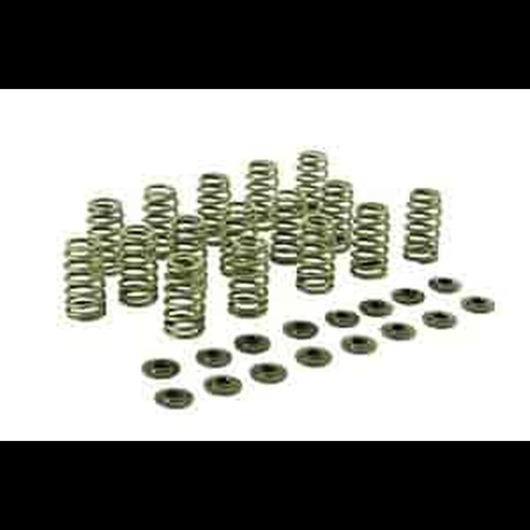 Valve Spring Zetec High Lift Valve Spring