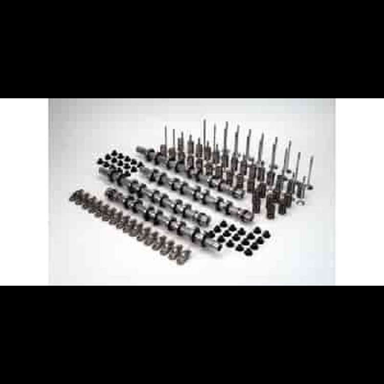 High Lift Camshaft Kit - 4.6L DOHC 4V