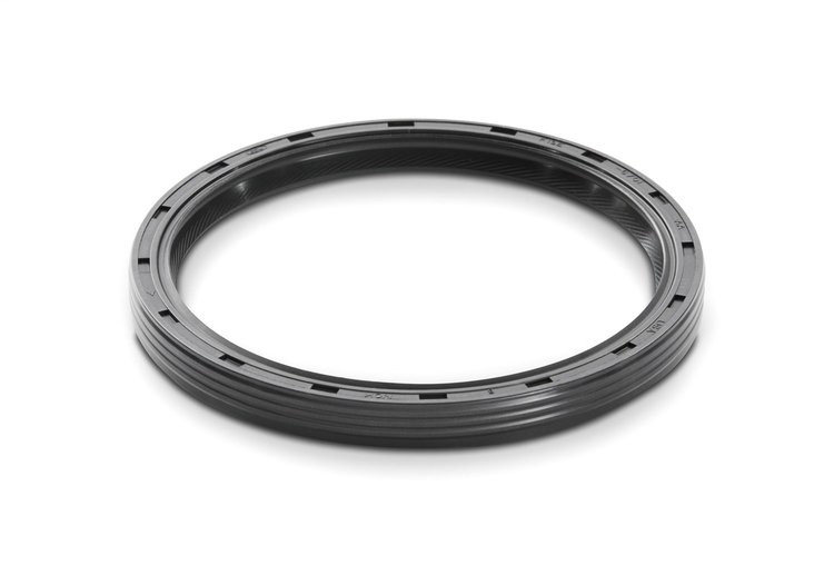 Rear Main Seal 1983-2001 302/5.0L