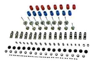 Valve Kit 2007-14 Mustang SVT GT500 5.4L 4V