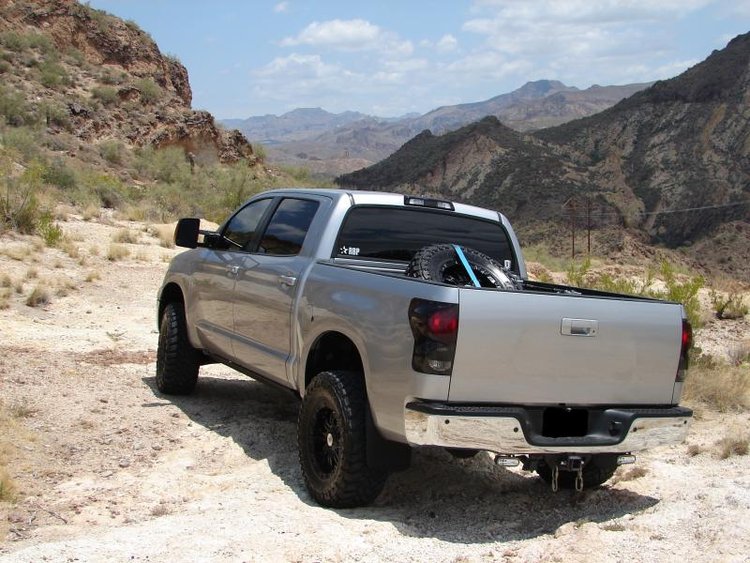 Universal Bed Mounted Tire Carrier With Black Strap