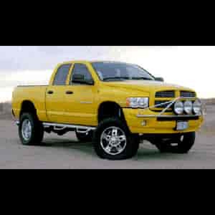 Stainless Steel Nerf Steps 2002-2008 Ram Pickup Quad Cab, 4-Door