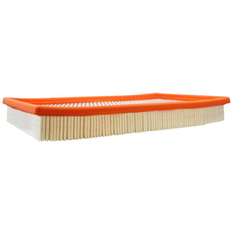 Extra Guard Air Filter