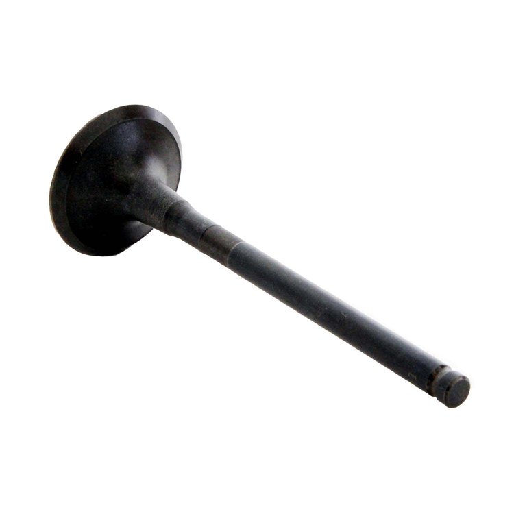 EM4473 Exhaust Engine Valve for 2008-2020 Pontiac, Lexus, Toyota, Scion 1.8L