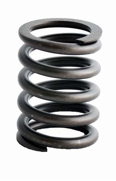 ERV1086 Valve Spring Set for Ford, 255 ci, 305 ci