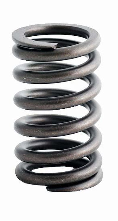ERV1348 Valve Spring Set for Chrysler/Dodge/Cummins, 5.9L