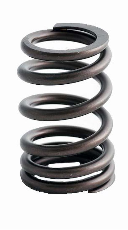 ERV1446 Valve Spring Set for GM, 8.1L 496