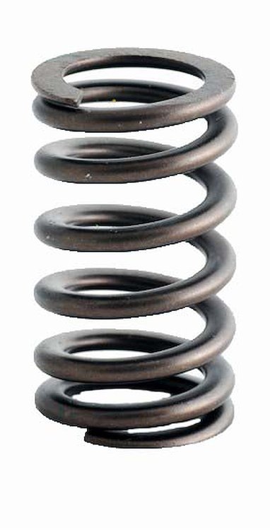 ERV1484 Valve Spring Set for Chrysler/Dodge/Cummins, 5.9L, 6.7L