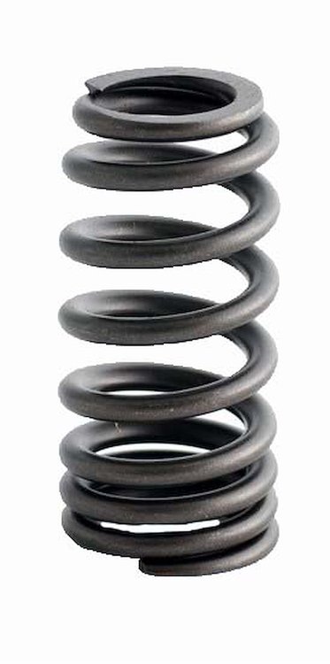 ERV1485 Valve Spring Set for Ford, 4.6L, 5.4L, 6.8L