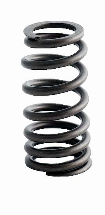 ERV1615 Valve Spring Set for Ford, 4.6L, 5.4L, 6.8L