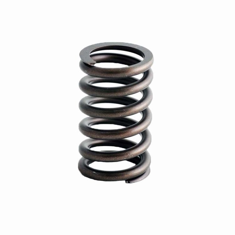 ERV1680-100 Valve Spring Set for GM/Chevrolet