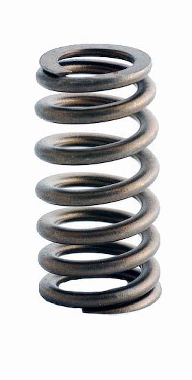 ERV2487 Valve Spring Set for Ford, 4.6L, 5.4L, 6.8L