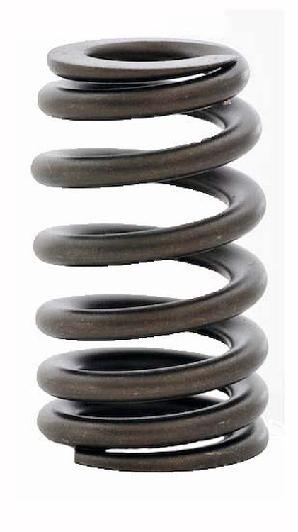 ERV3598-100 Valve Spring Set for GM, 4.8L