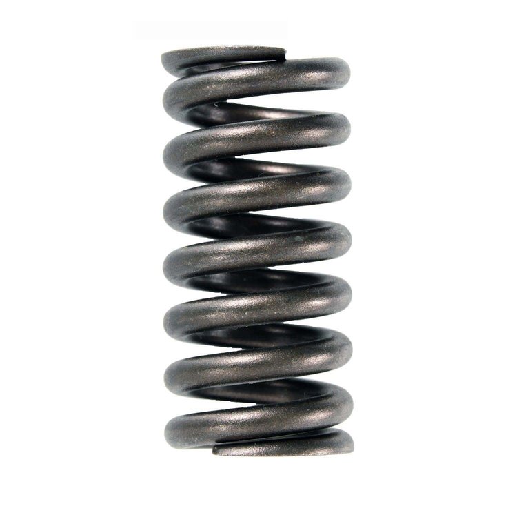 ERV458 Valve Spring Set for Ford, 6.4L, POWERSTROKE