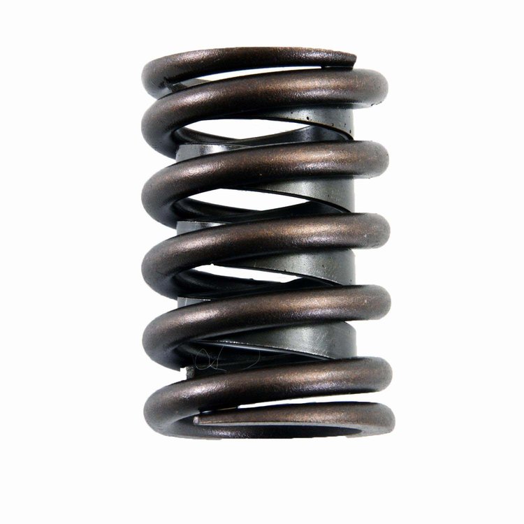 ERV887X Valve Spring Set for Ford, 6.9L, 7.3L