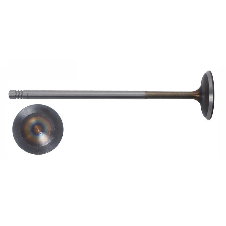 IM1014A Intake Engine Valve for Audi/Volkswagen, 3.2L