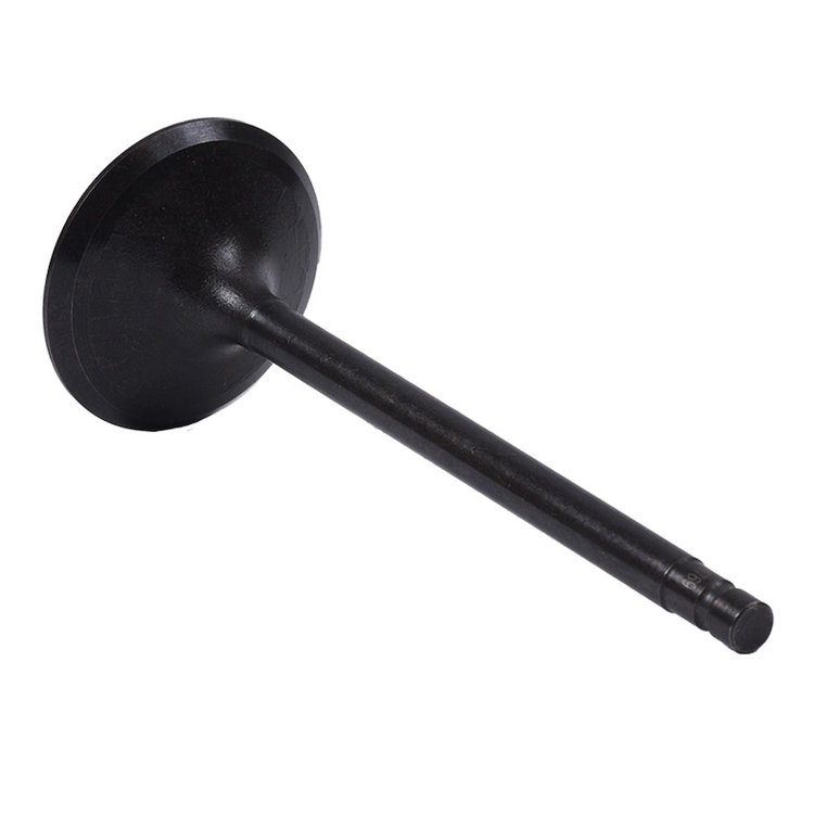IM4398 Intake Engine Valve for Nissan, 2.5L 2488, QR25DE