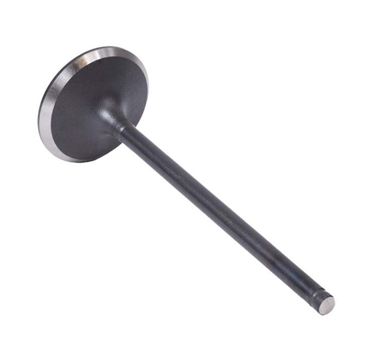 IM4468 Intake Engine Valve for Hyundai/Kia, 3.3L, 3.5L, 3.8L