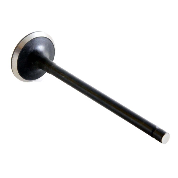 IM4472 Intake Engine Valve for 2008-2022 Pontiac, Lexus, Toyota, Scion 1.8L