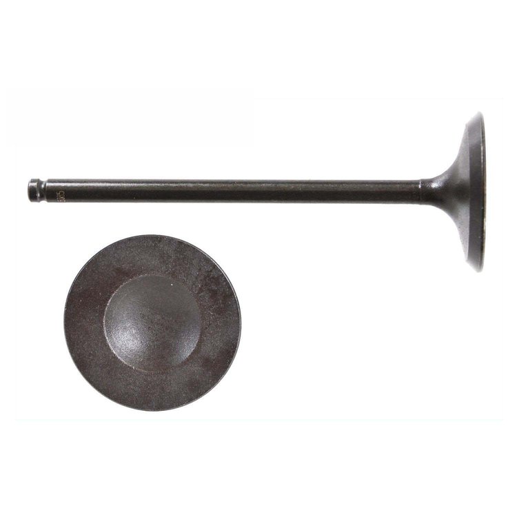 IM4492 Intake Engine Valve for J24B