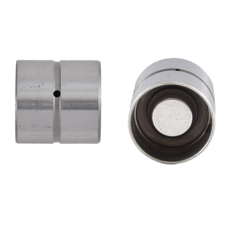 L9021-6 Hydraulic Lifter Set for 1997-2006 Audi, Volkswagen 1.8L, 2.7L, 2.8L, 3.0L