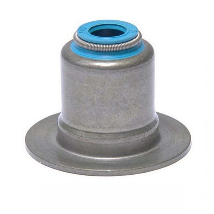 S111V-20 Valve Stem Seal Set for 1991-2016 Ford, Lincoln, Mercury 4.6L, 5.4L, 6.8L