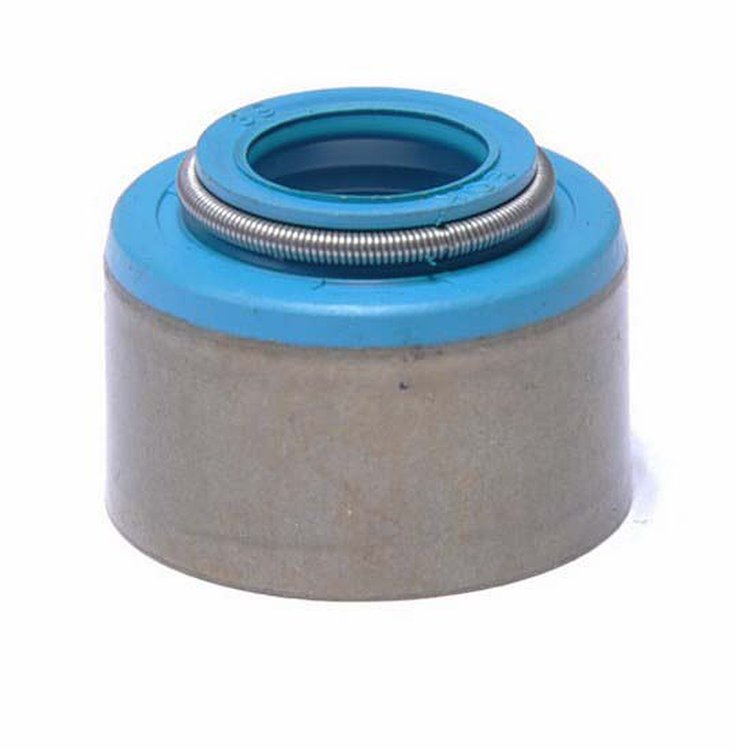 S2980-20 Valve Stem Seal Set for 2001-2006 Chevrolet 8.1L