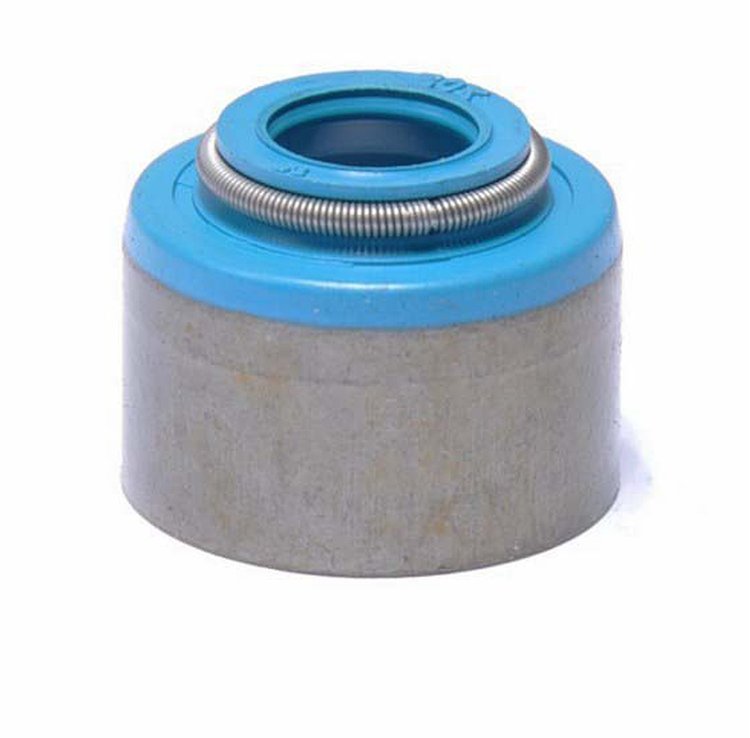 S802V-20 Valve Stem Seal Set for 1992-2009 Dodge 2.5L, 3.9L, 5.2L, 5.9L