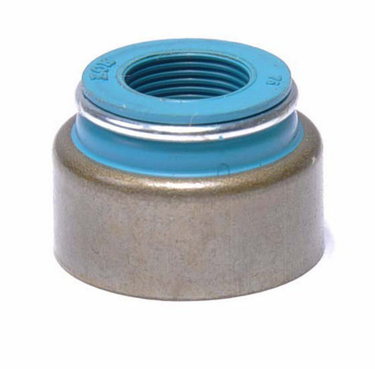 S810V-20 Valve Stem Seal Set for 2001-2005 Chevrolet 8.1L