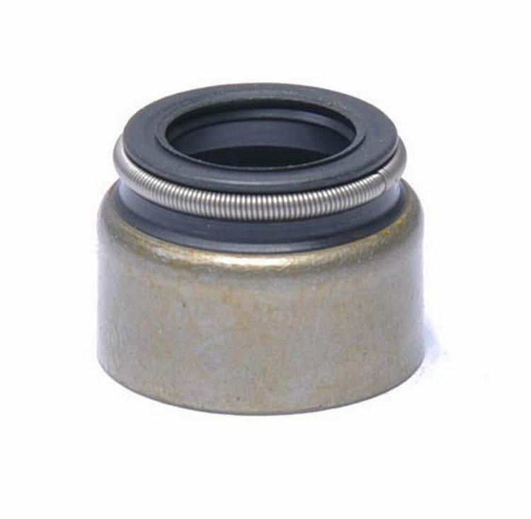 S9249-20 Valve Stem Seal Set for 1966-2000 Chevrolet 7.0L, 7.4L