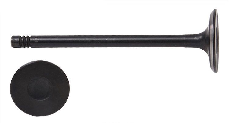 V1620 Intake Engine Valve for Ford, 1.6L