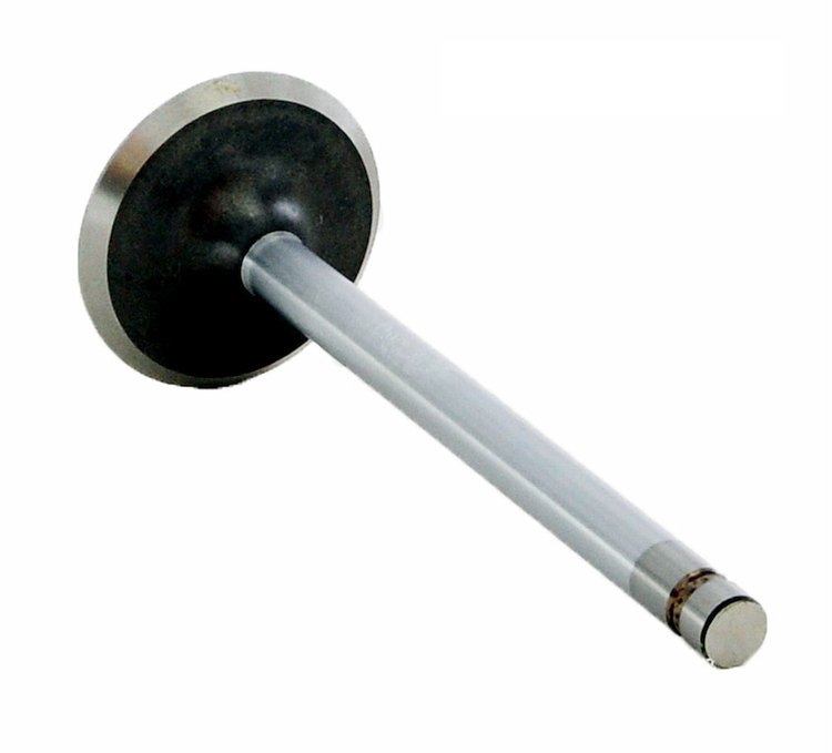 V1656 Intake Engine Valve for GM/Chevrolet, 6.0L 366, 7.0L 427, 7.4L 454