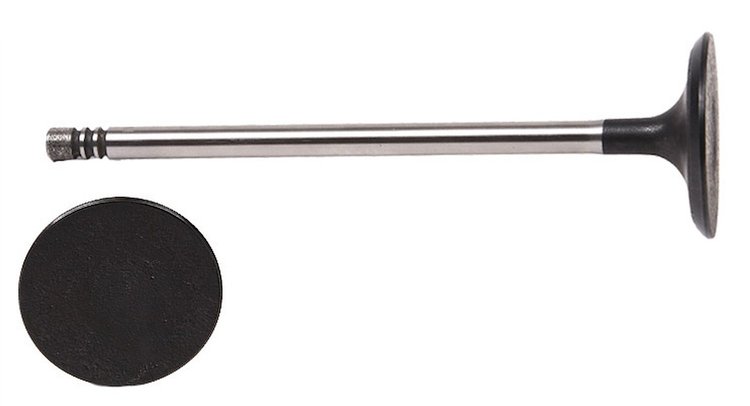 V1660 Intake Engine Valve for Ford, 1.6L