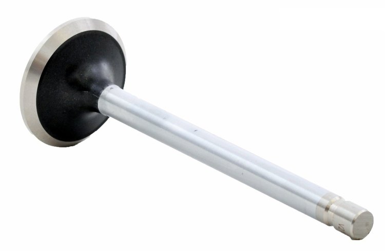 V2123 Exhaust Engine Valve for 1985-1996 Ford 4.9L