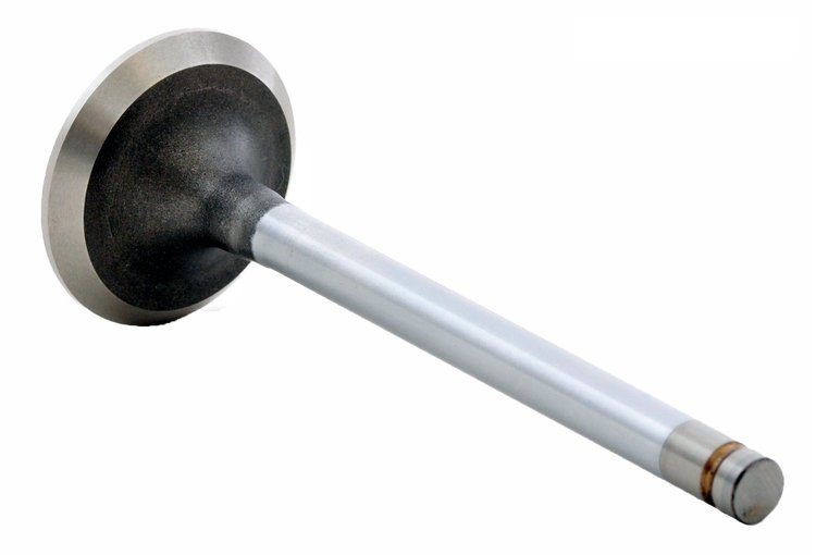V2151 Exhaust Engine Valve for 1987-1988 Chevrolet 2.5L