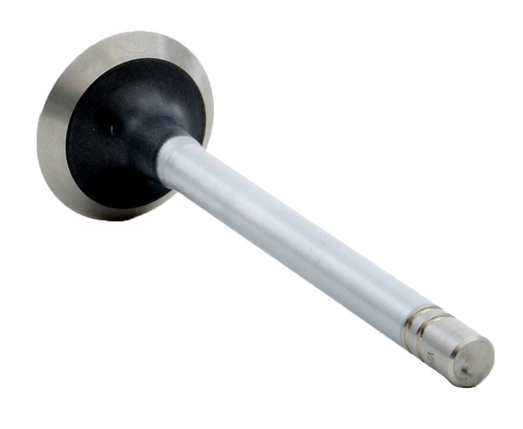 V2441 Exhaust Engine Valve for 1979-1991 Chrysler, Dodge 3.9L, 5.2L, 5.9L