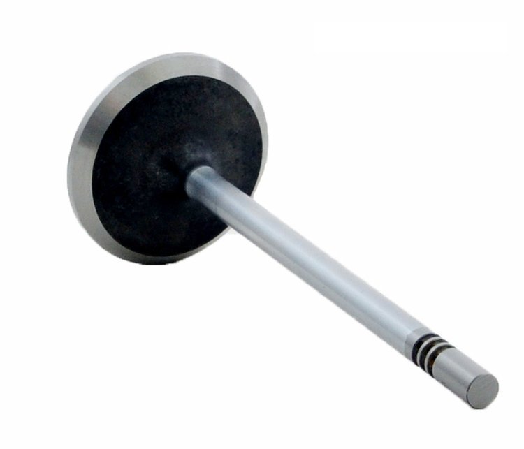 V3008 Intake Engine Valve for Ford, 4.6L, 5.4L, 6.8L