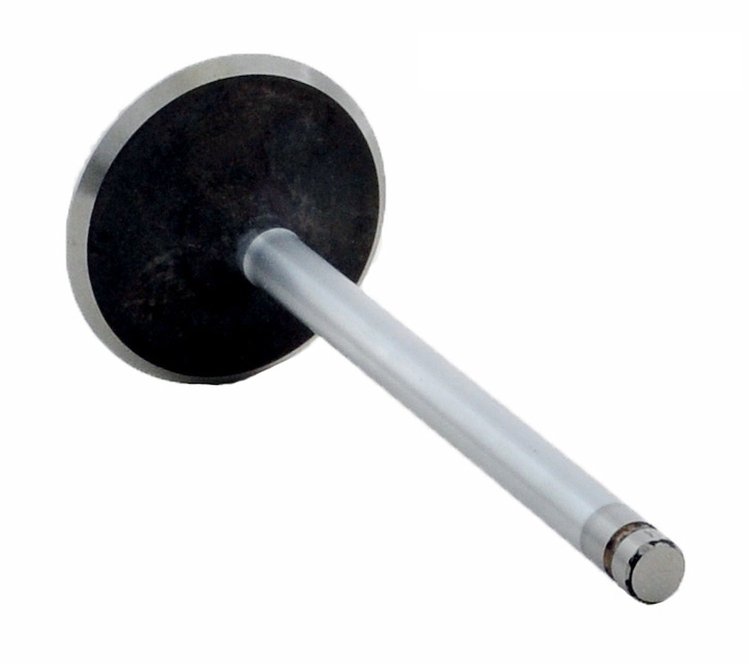 V3214 Intake Engine Valve for GM, 3.8L 231