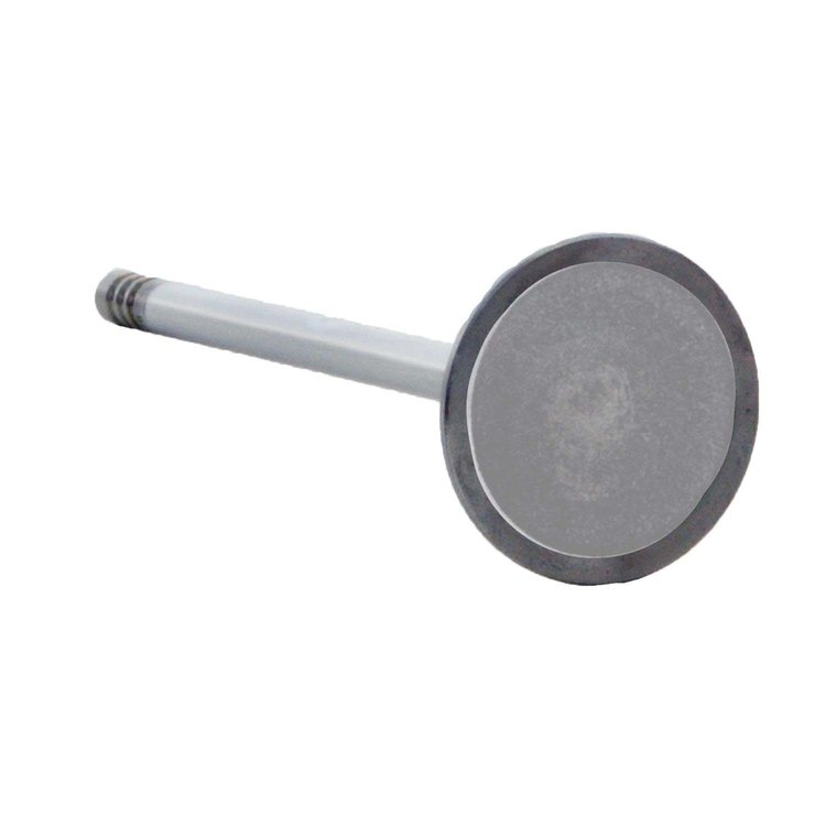 V3424 Intake Engine Valve for Ford, 2.5L 155