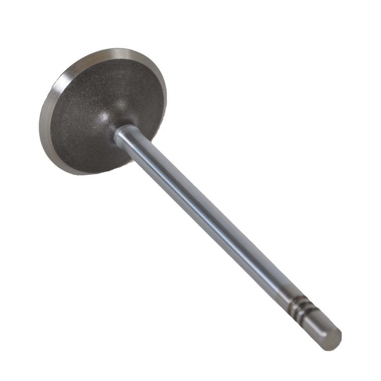 V3426 Intake Engine Valve for Ford, 3.0L 181